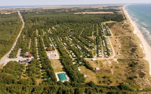 Skagen Sydstrand Camping Skagen Pladsen Drone7