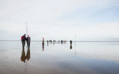 Hvidbjerg Strand Camping Resort Vadehavscenteret Vadehav