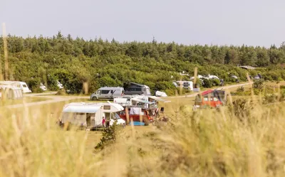 Skagen Sydstrand Camping Skagen Pladsen Campers Foersteraekke