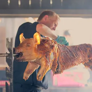 Hvidbjerg Strand Camping Resort Western Nights Gris