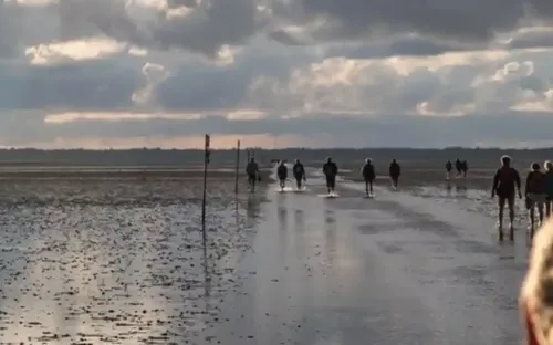 Hvidbjerg Strand Camping Resort Natur Skallingen Vandring