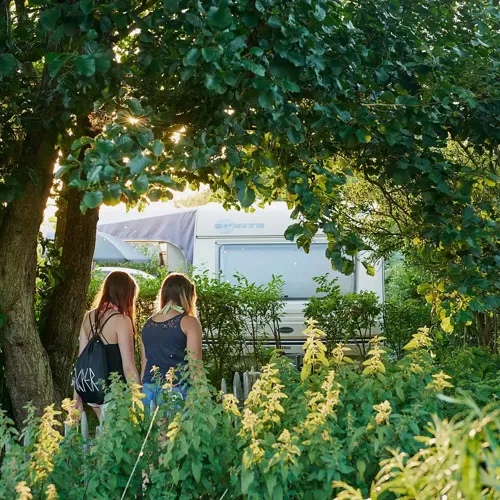 Hvidbjerg Strand Camping Resort Sti