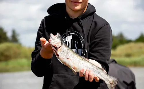 Hvidbjerg Strand Camping Resort Fiskesoe Fangst