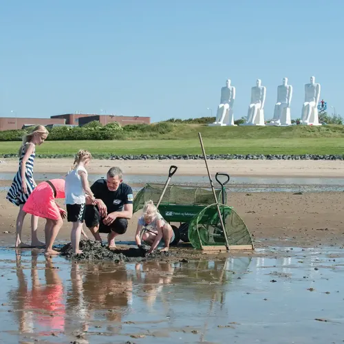 Hvidbjerg Strand Camping Resort Esbjerg By Vadehav