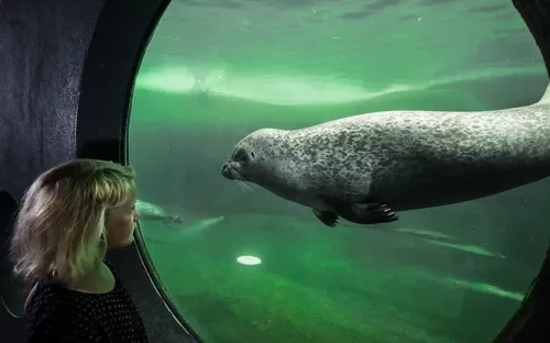 Hvidbjerg Strand Camping Resort Esbjerg By Soefartsmuseum