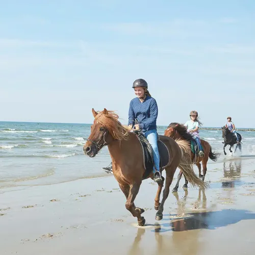 Hvidbjerg Strand Camping Resort Ridning Strand Galop