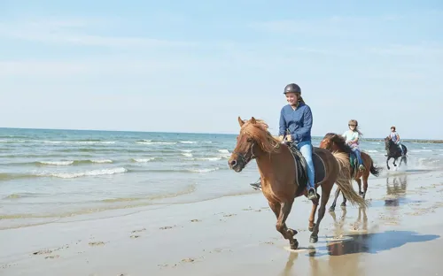 Hvidbjerg Strand Camping Resort Ridning Strand Galop