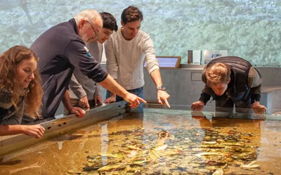 Hvidbjerg Strand Camping Resort Vadehavscenteret Udstilling